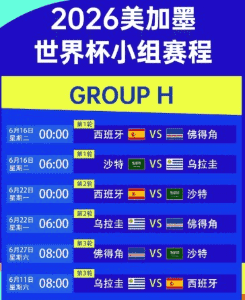 欧洲杯足球锦标赛